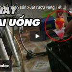 Hết hồn quy trình sản xuất rượu vang Tết cao cấp “sát hại” người dùng