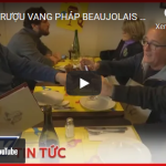 LỄ HỘI RƯỢU VANG PHÁP BEAUJOLAIS NOUVEAU Ở PARIS