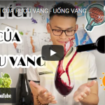 LỢI ÍCH CỦA RƯỢU VANG – UỐNG VANG THỰC SỰ CÓ LỢI ?