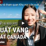 Thử rượu và tham quan Khu vực sản xuất RƯỢU VANG lớn nhất CANADA