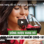 Uống rượu vang đỏ có thể giúp giảm nguy cơ nhiễm Covid-19?